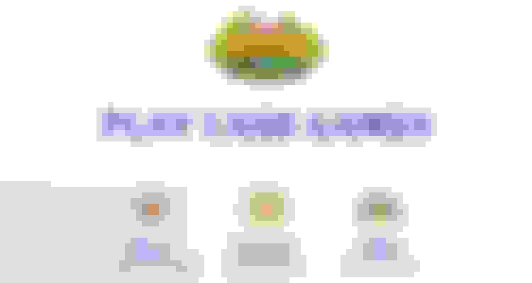 bg-0